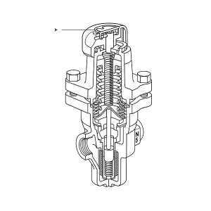 Редукционные клапаны Spirax Sarco из бронзы BRV2S5 и BRV2B5